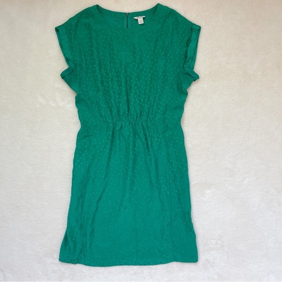 Fossil Emily Silk Dress in Kelly Green Polka Dot Short Sleeve Dress Size 6 - Picture 3 of 9